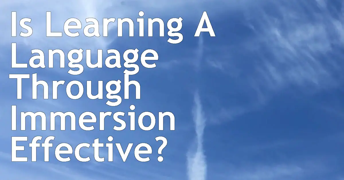 Is Learning A Language Through Immersion Effective? Reaching Fluency